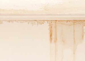 inadequate waterpoofing wall leak